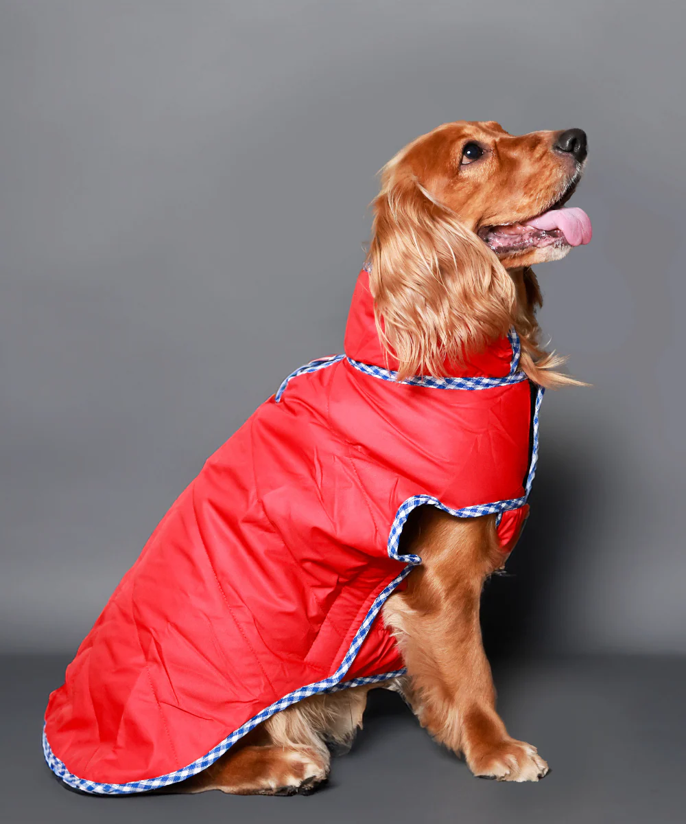 Pet Set Go Wind Sheeter Jackets for Dogs (Red) - Image 5
