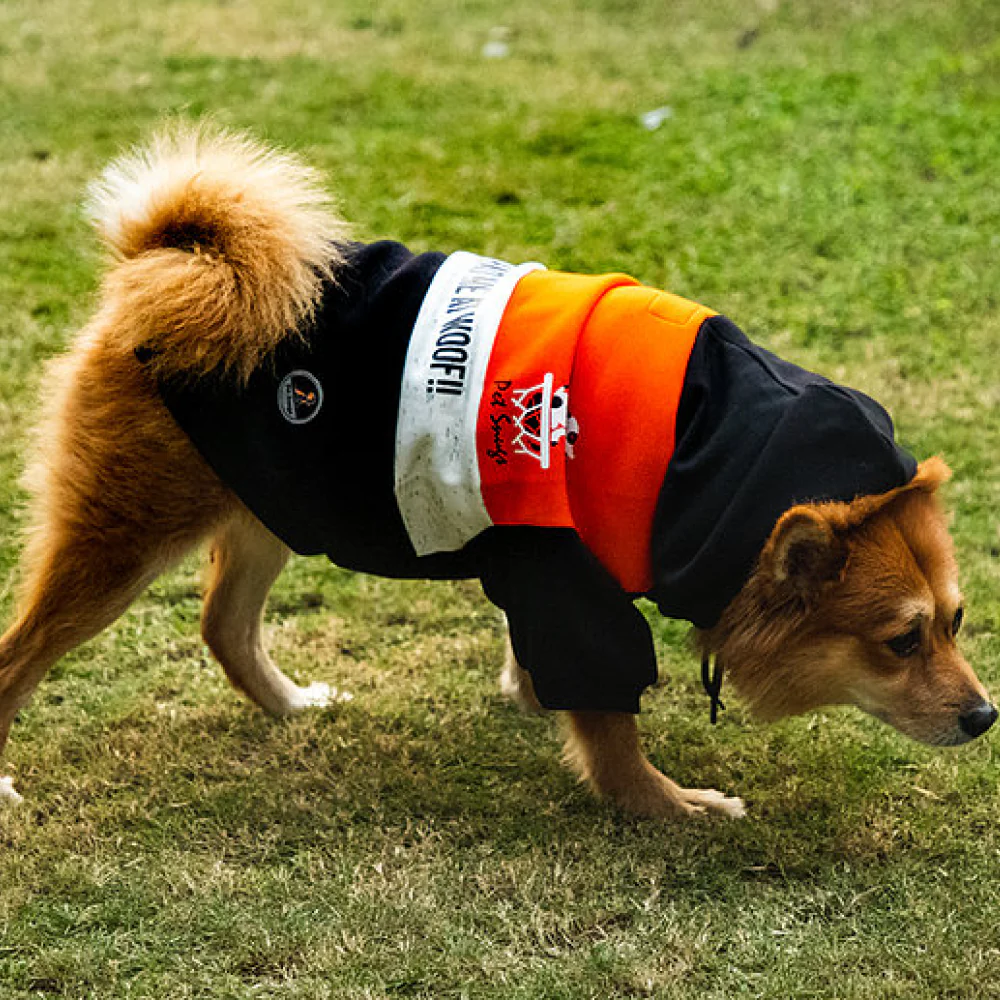 Pet Snugs You Had Me At Woof Sweatshirt for Dogs (Orange White & Black) - Image 4