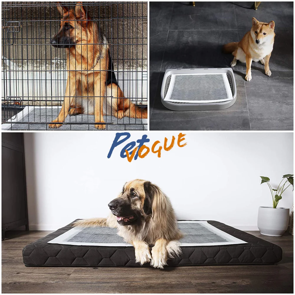 Pet Vogue Charcoal Pee Pads for Dogs (60x60cm) - Image 5