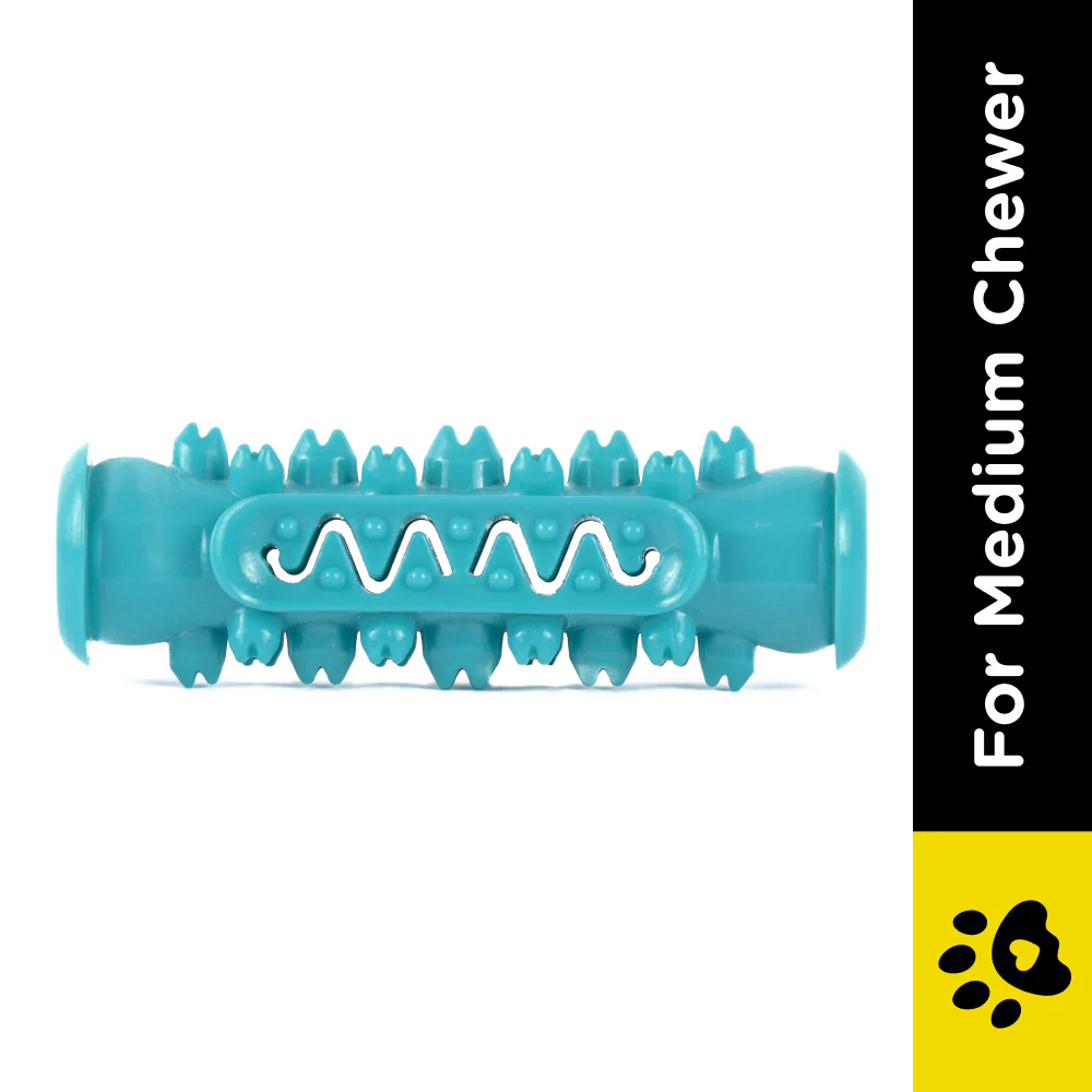 Pet Vogue Dental Chew Toy for Dogs (Blue) - Image 2
