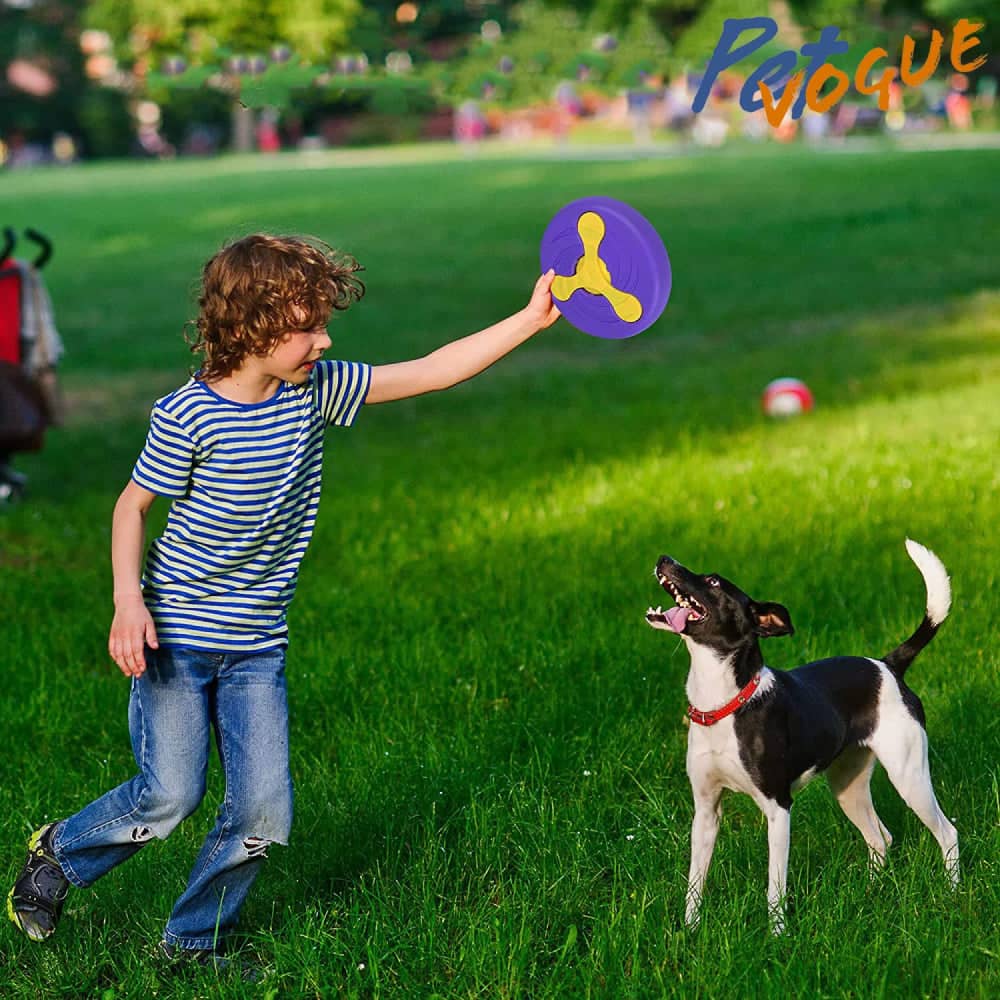Pet Vogue Disc Toy with Detachable Boomerang for Dogs - Image 5