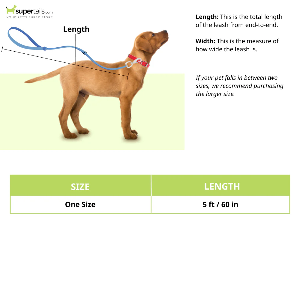 Pet Vogue Reflective Rope Leash for Dogs (Orange) - Image 2