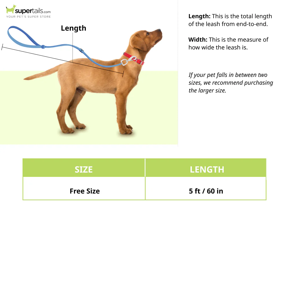 Pet Vogue Rope Leash for Dogs (Blue) - Image 2