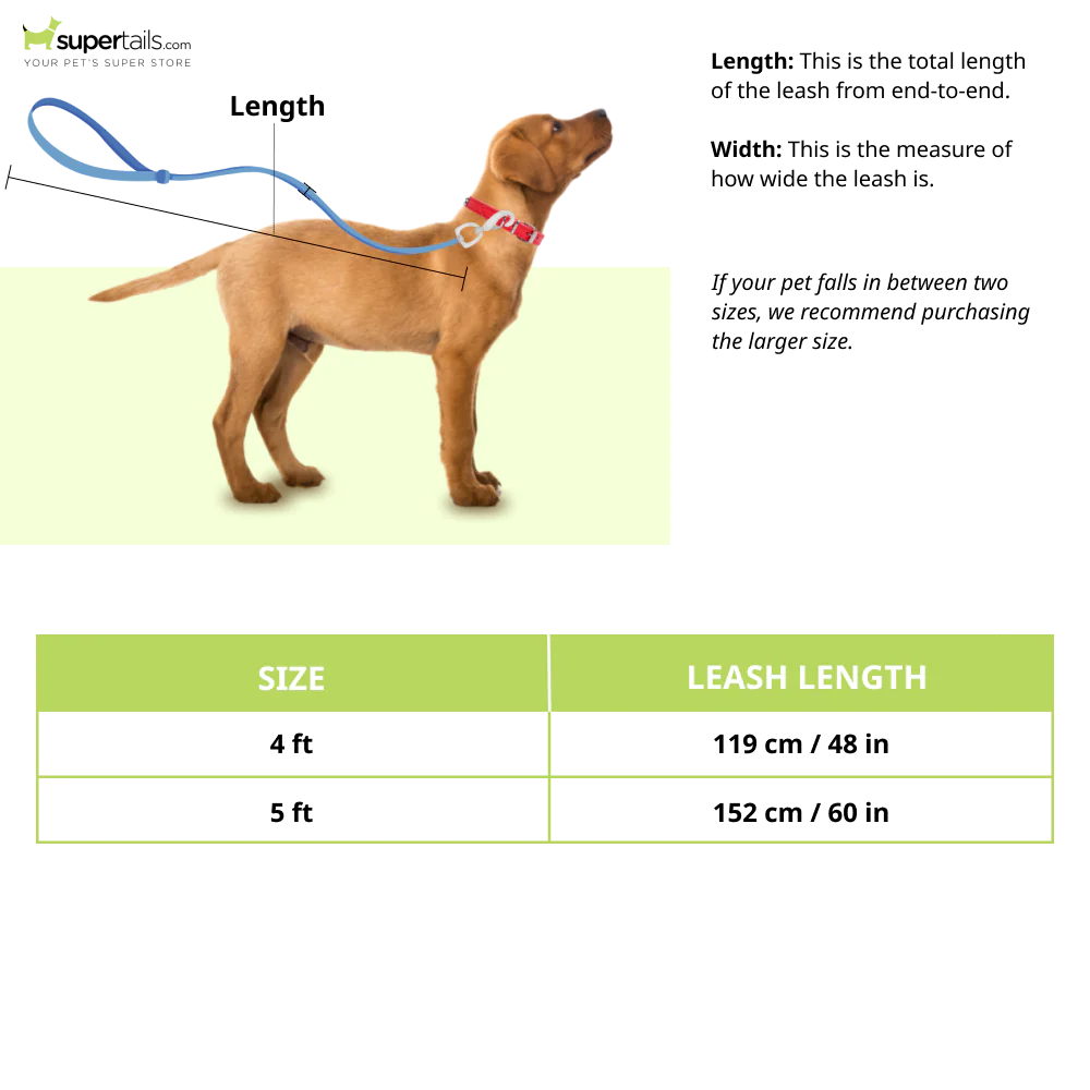 Pet Vogue Shock Proof Hands-Free Dog Leash for Medium and Large Dogs (5ft) - Image 2