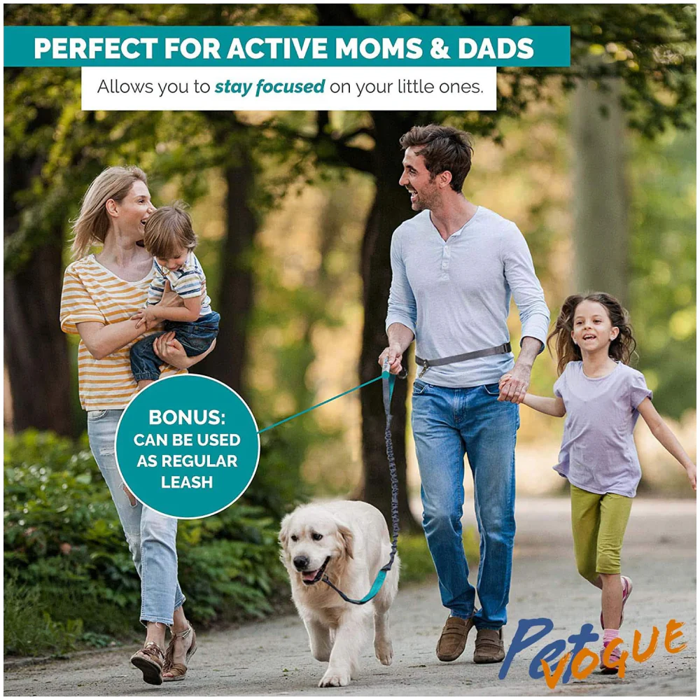 Pet Vogue Shock Proof Hands-Free Dog Leash for Medium and Large Dogs (5ft) - Image 3