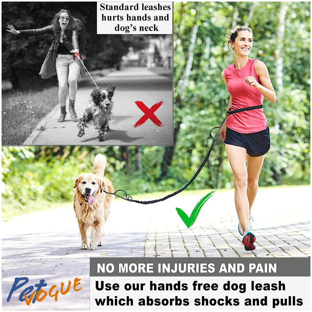 Pet Vogue Shock Proof Hands-Free Dog Leash for Medium and Large Dogs (5ft) - Image 6