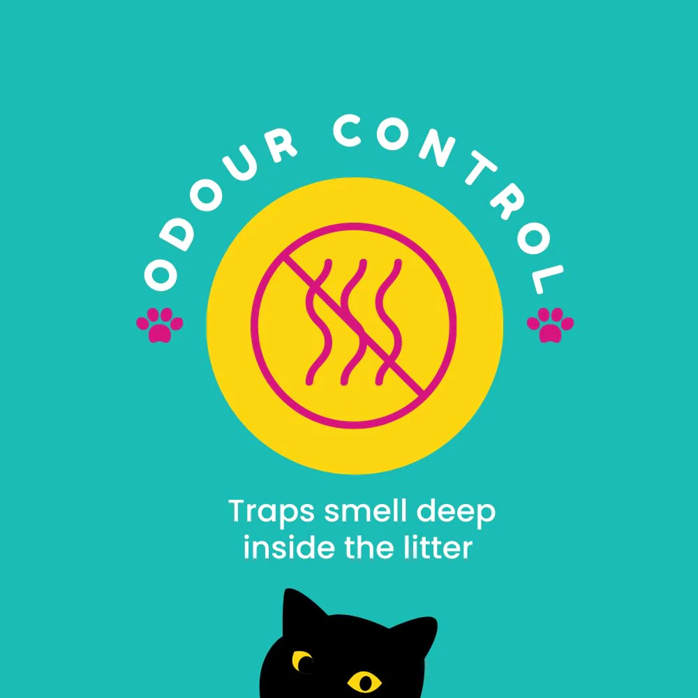 Petcrux Eco Clump Bentonite Unscented Cat Litter - Image 2