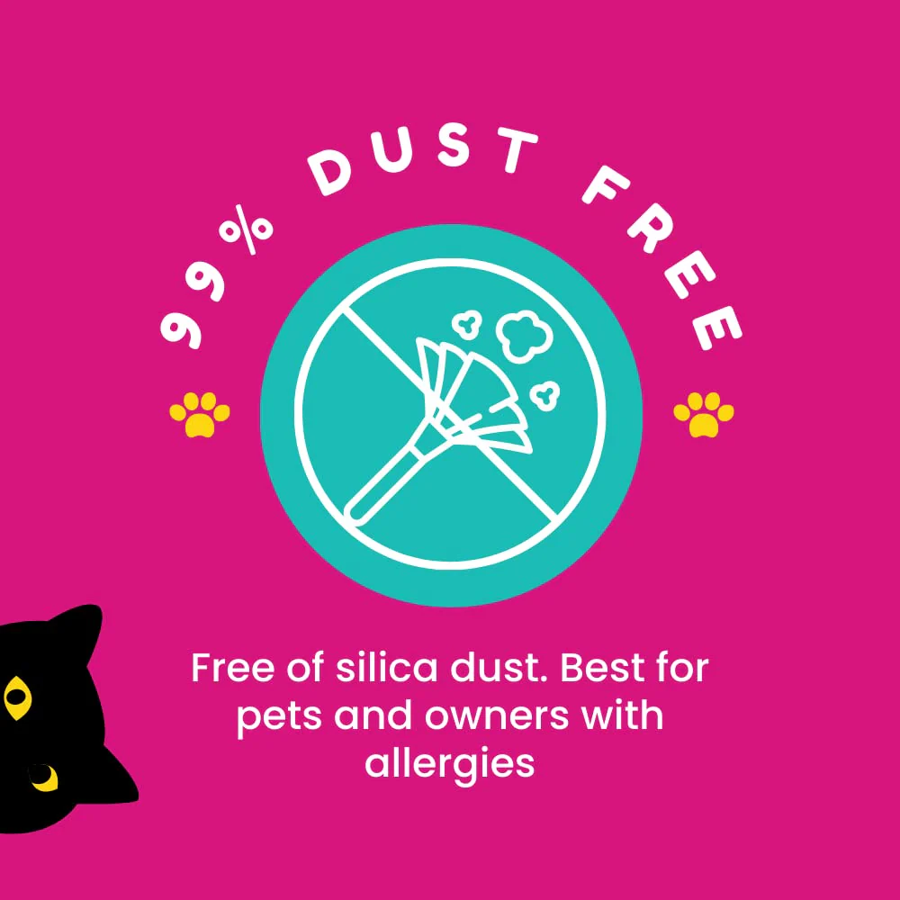Petcrux Eco Clump Bentonite Unscented Cat Litter - Image 3