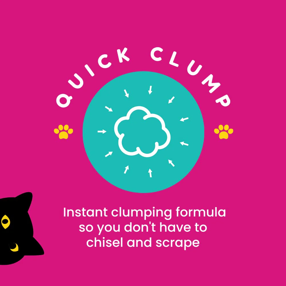Petcrux Eco Clump Bentonite Unscented Cat Litter - Image 7