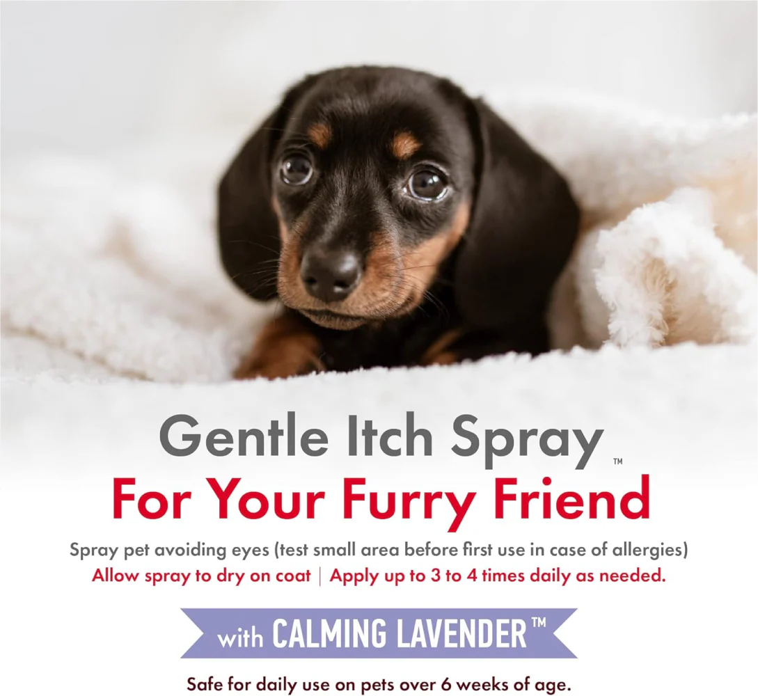 Petkin Lavender Hemp Calming itch Spray for Dogs and Cats - Image 6