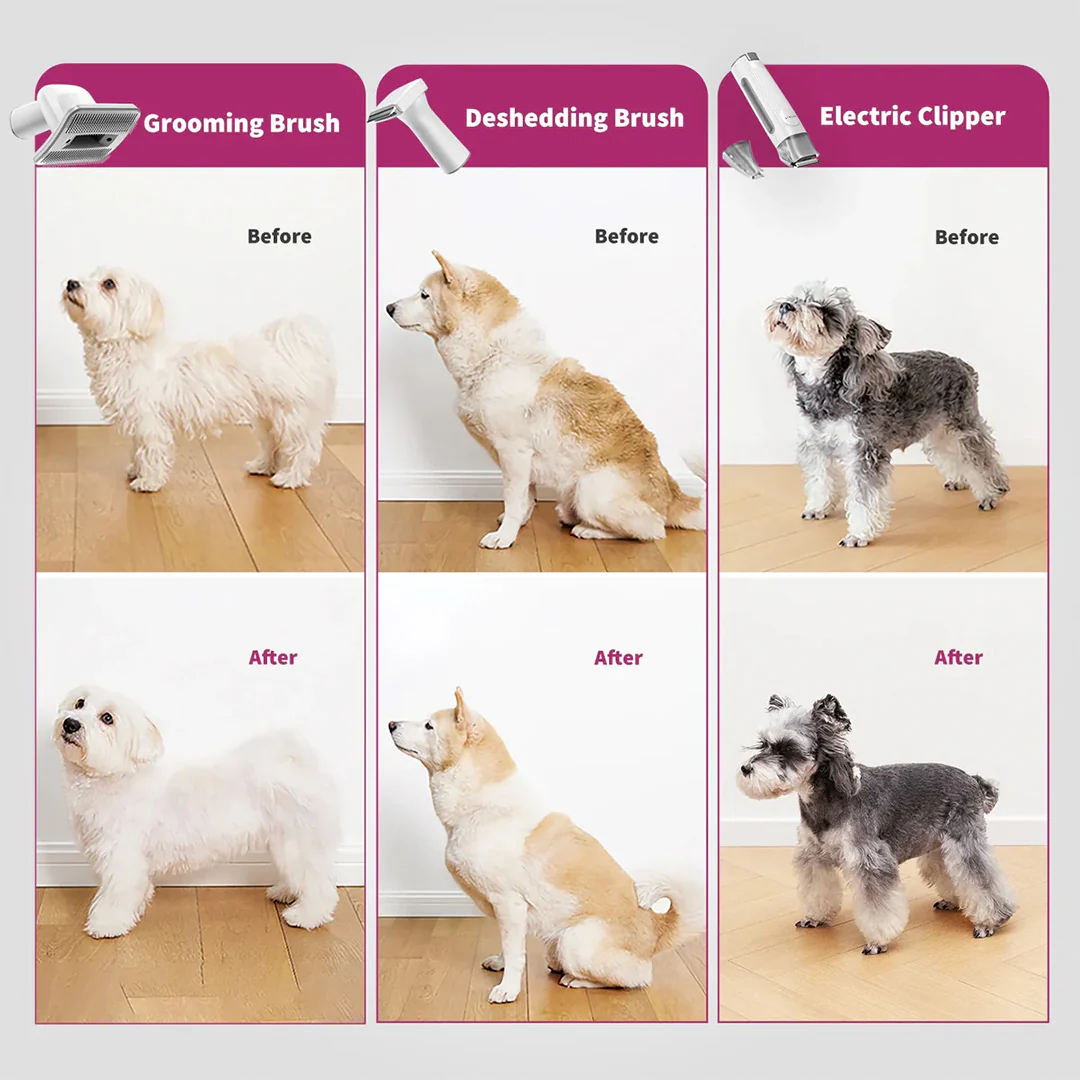 Petkit Professional 5 in 1 Grooming & Hair Vaccum Kit for Dogs and Cats (Grey) - Image 7