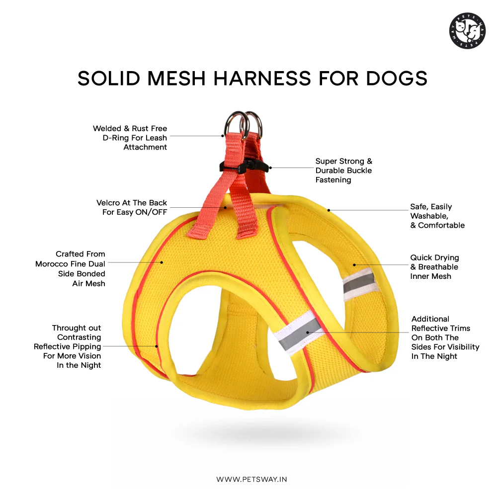 Pets Way Air Mesh Harness for Puppies & Small Dogs (Blue) - Image 6
