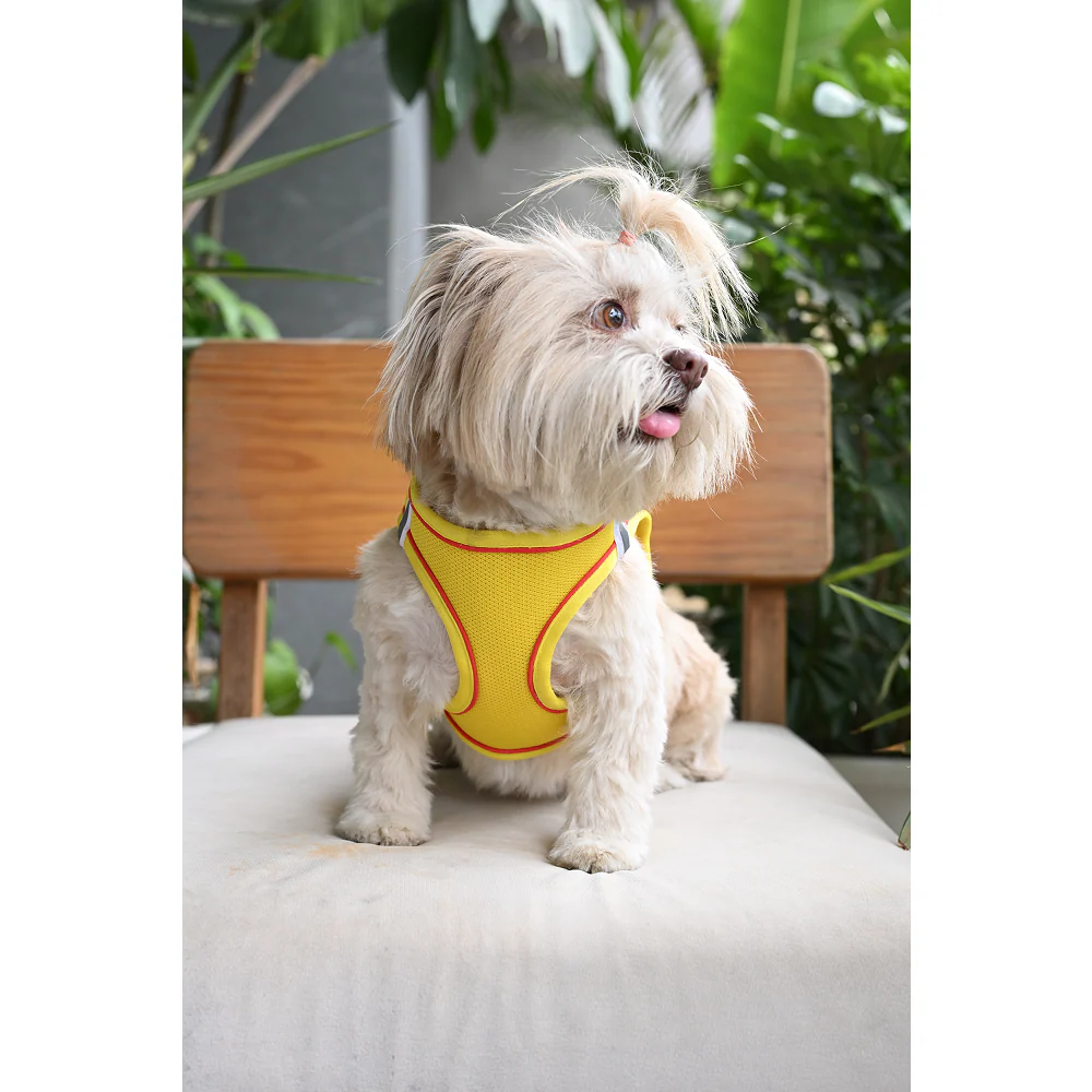 Pets Way Air Mesh Harness for Puppies & Small Dogs (Yellow) - Image 2