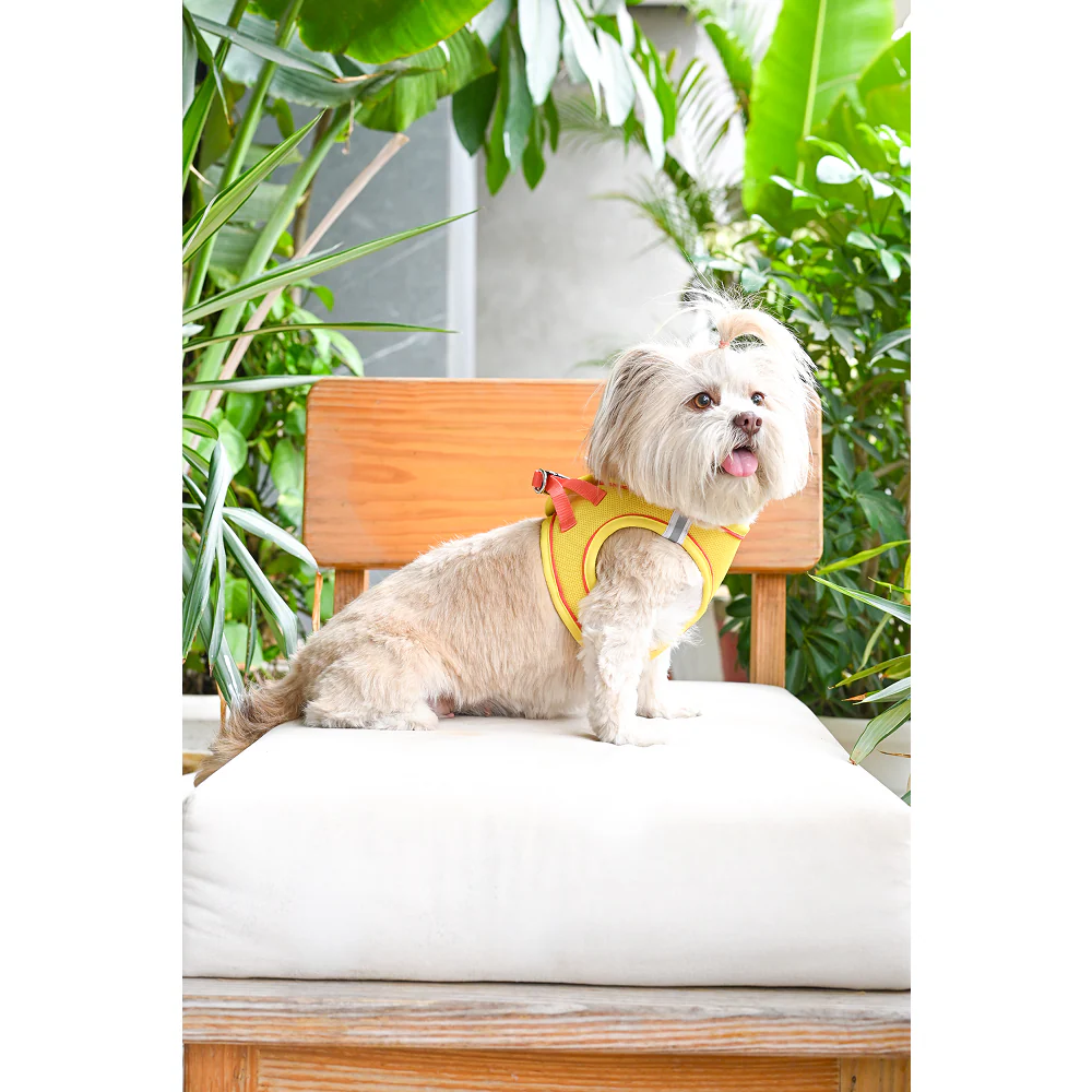 Pets Way Air Mesh Harness for Puppies & Small Dogs (Yellow) - Image 7