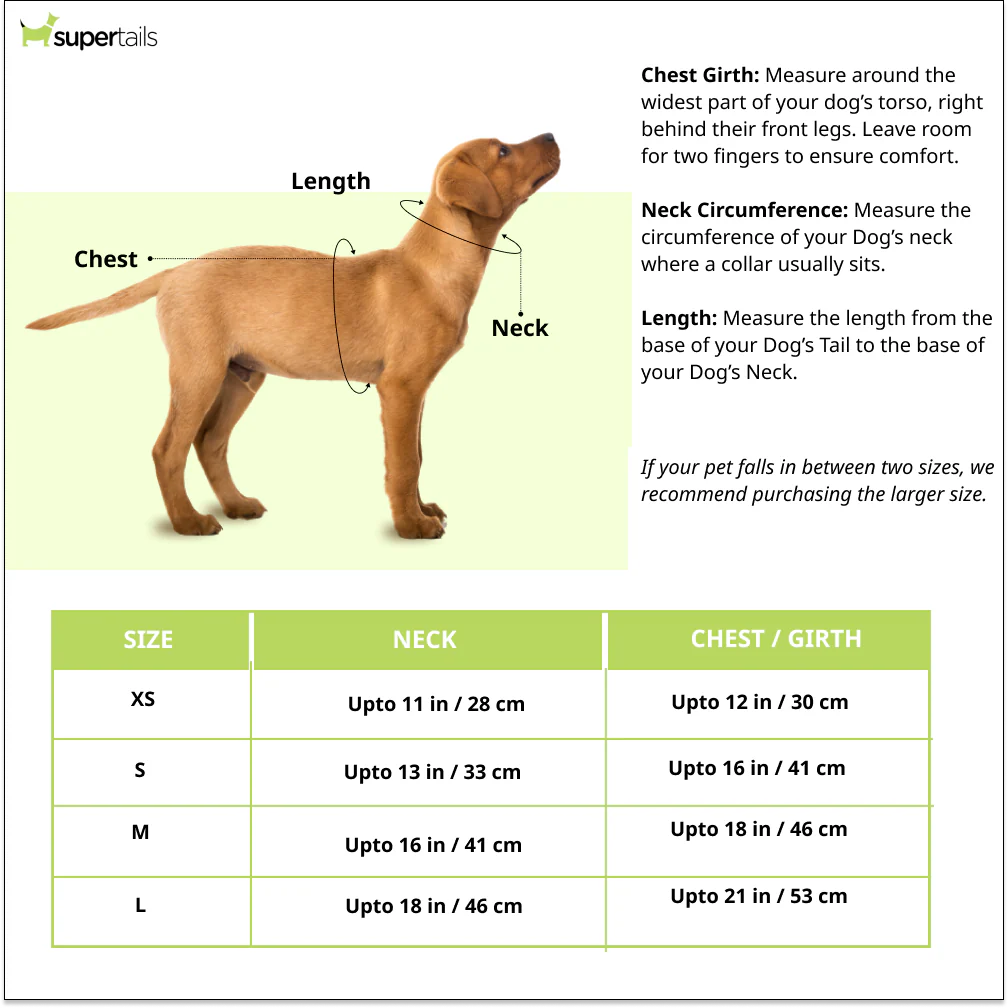 Pets Way Foxie Air Mesh Printed Harness for Puppies and Small Dogs - Image 8