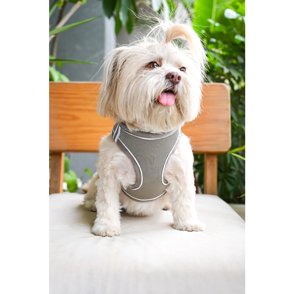 Pets Way Air Mesh Harness for Puppies & Small Dogs (Grey) - Image 2