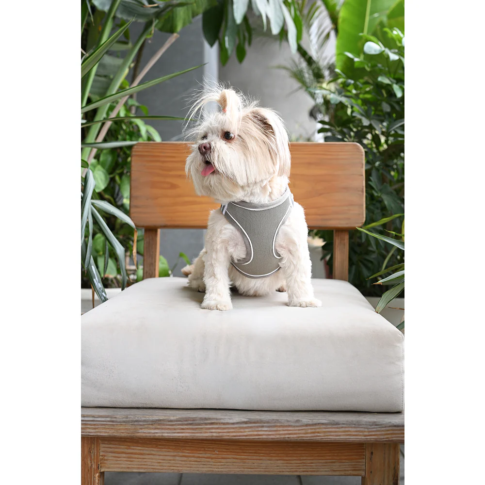Pets Way Air Mesh Harness for Puppies & Small Dogs (Grey) - Image 7