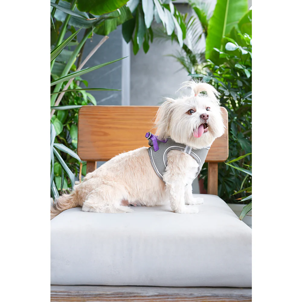 Pets Way Air Mesh Harness for Puppies & Small Dogs (Grey) - Image 8