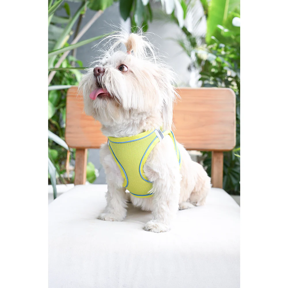 Pets Way Air Mesh Harness for Puppies & Small Dogs (Neon) - Image 2