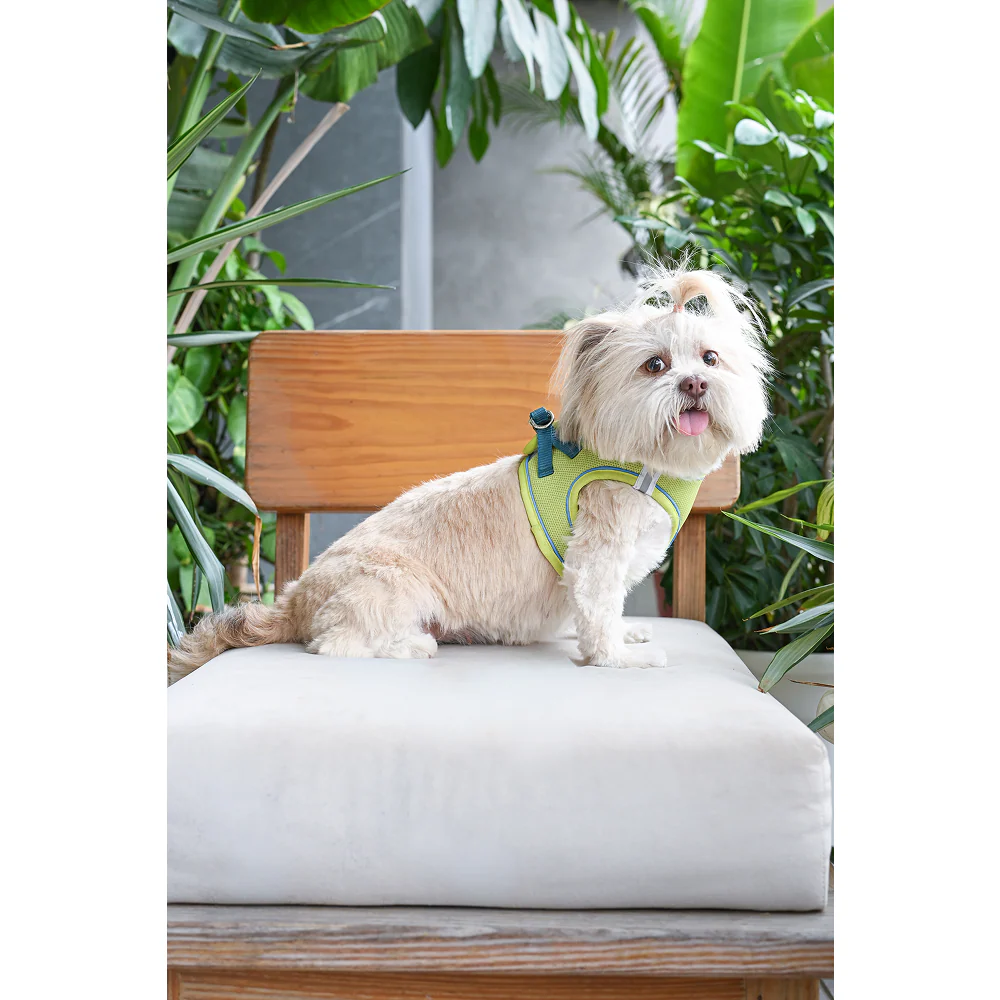 Pets Way Air Mesh Harness for Puppies & Small Dogs (Neon) - Image 7