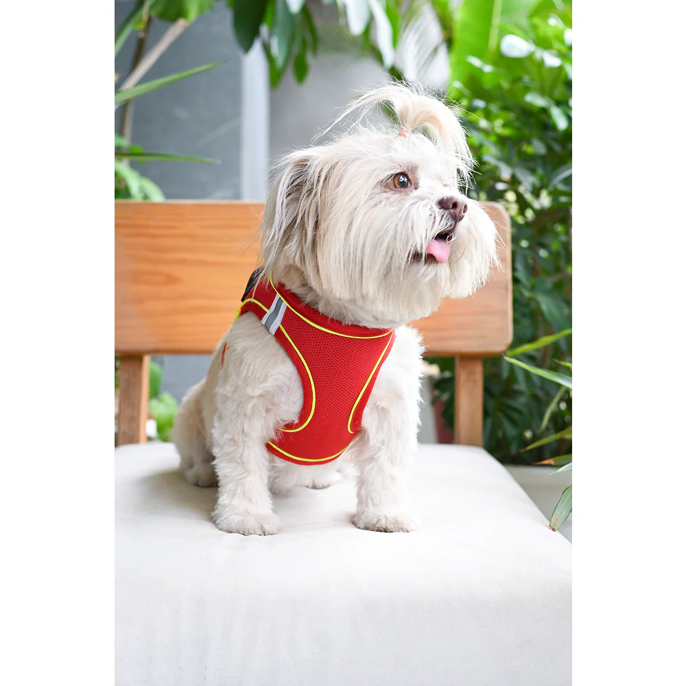 Pets Way Air Mesh Harness for Puppies & Small Dogs (Red) - Image 2