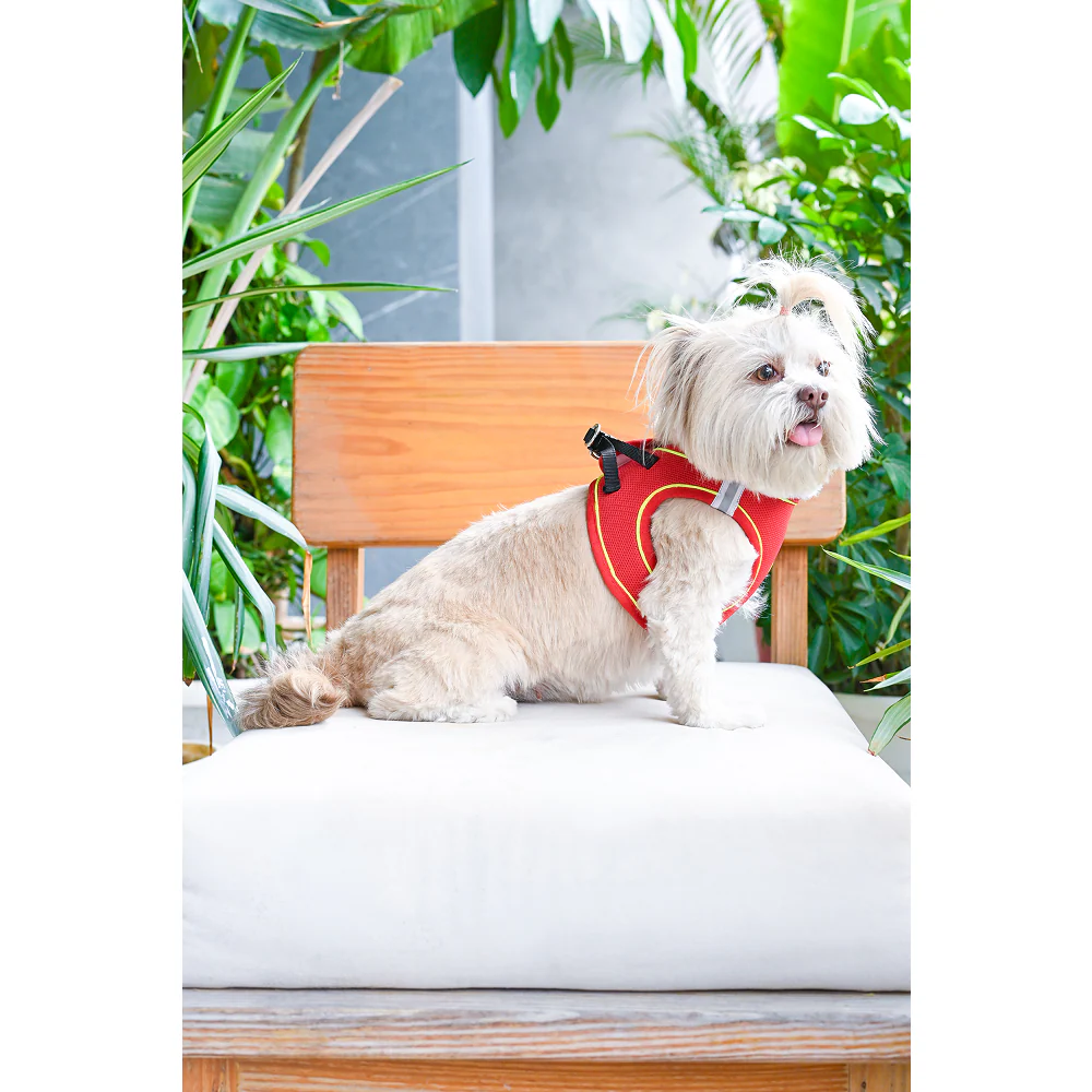 Pets Way Air Mesh Harness for Puppies & Small Dogs (Red) - Image 5