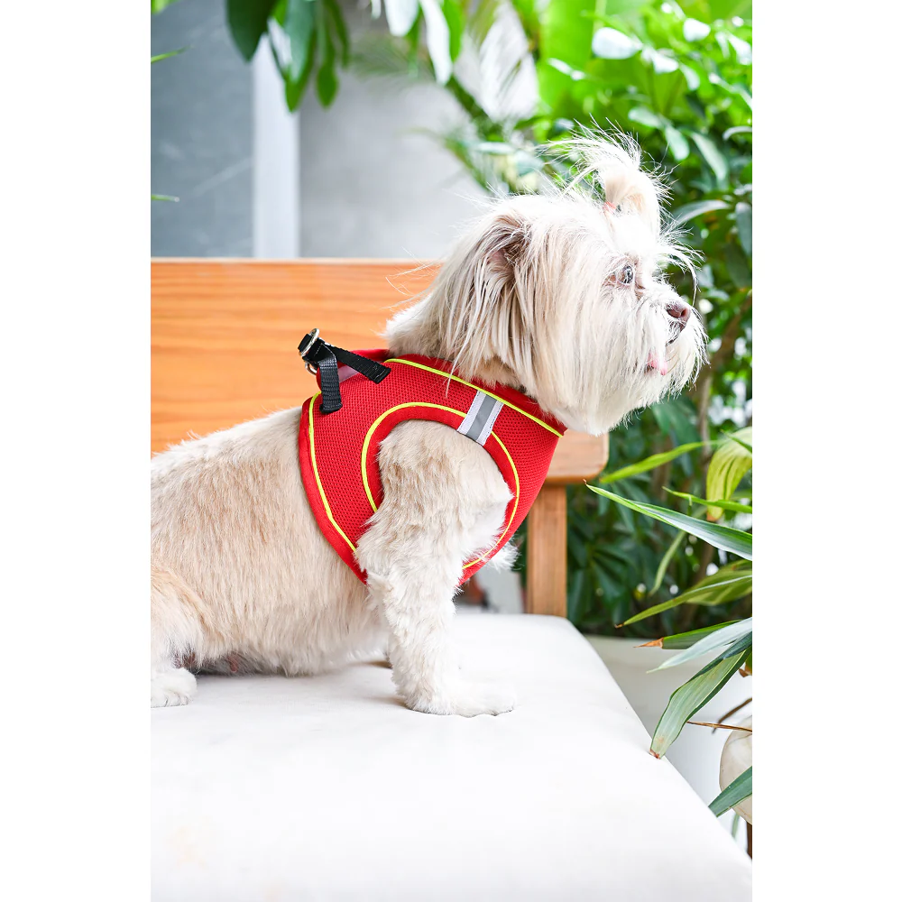 Pets Way Air Mesh Harness for Puppies & Small Dogs (Red) - Image 6