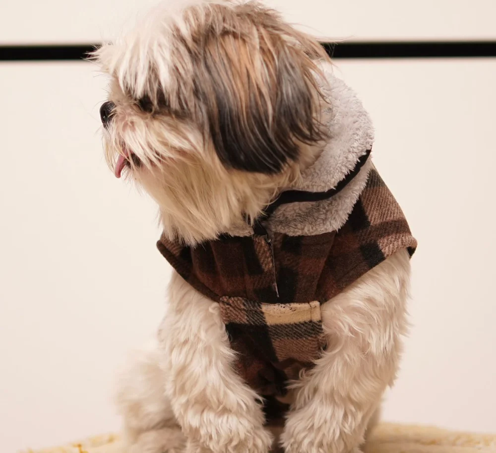 Pets Way Checks Winter Jacket for Dogs (Brownie)