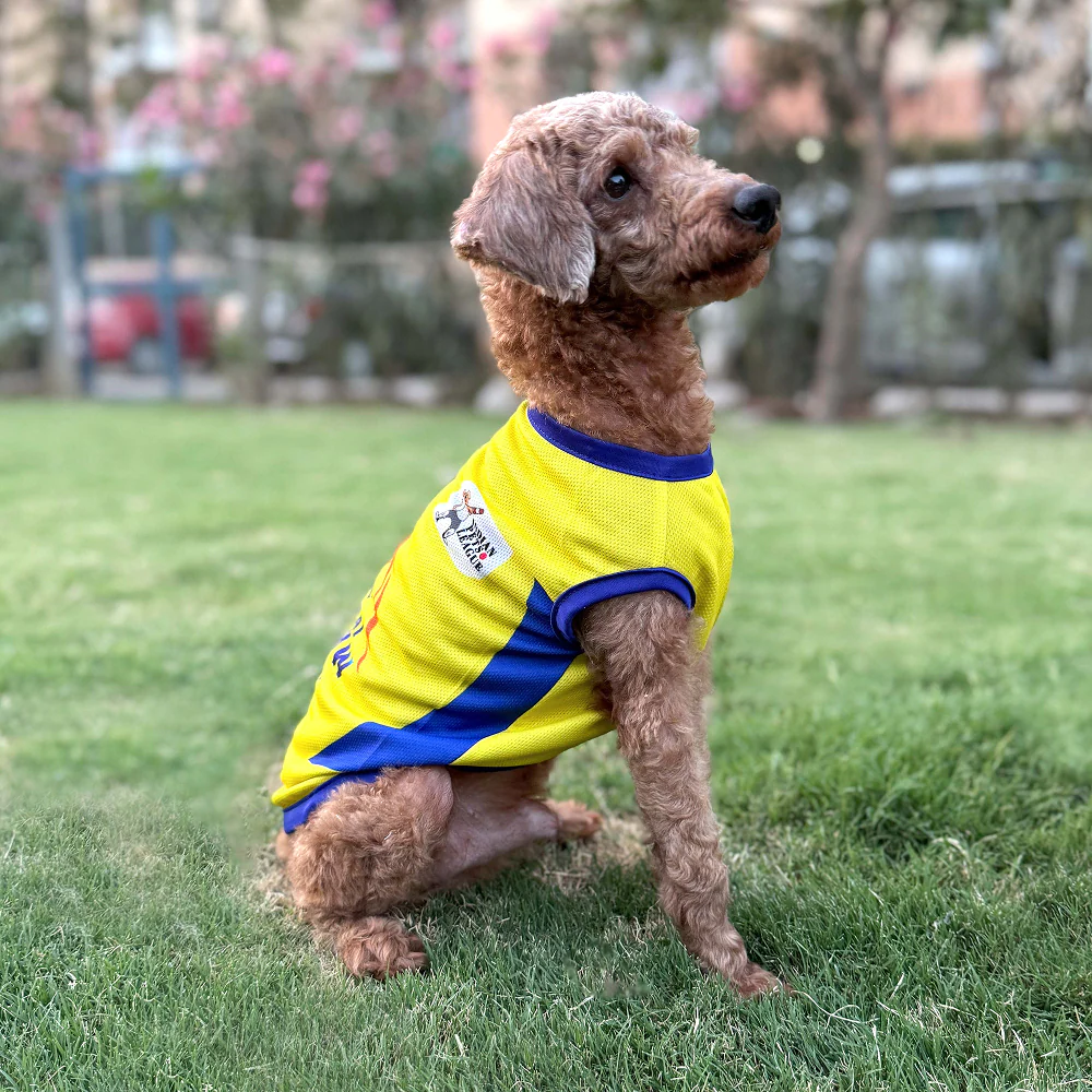 Pets Way Chennai Supaw Kings Team Jersey Vest for Dogs | Indian Pet League - Image 3