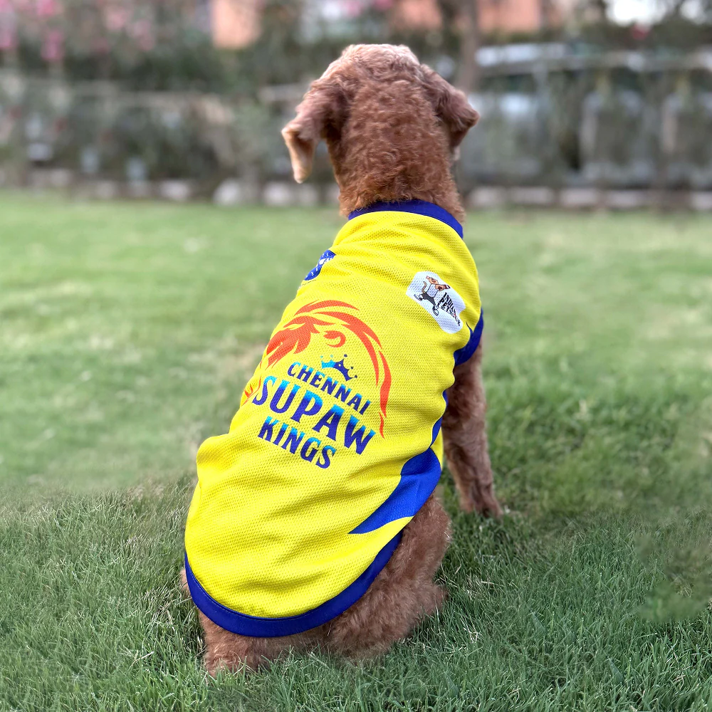 Pets Way Chennai Supaw Kings Team Jersey Vest for Dogs | Indian Pet League - Image 5