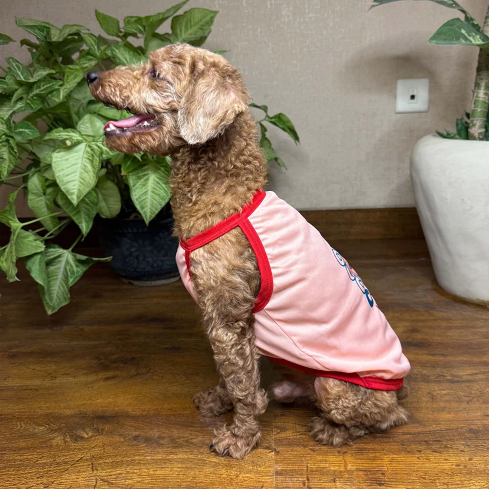 Pets Way Cool Pups Vest Combo for Dogs (Pack of 3) - Image 6