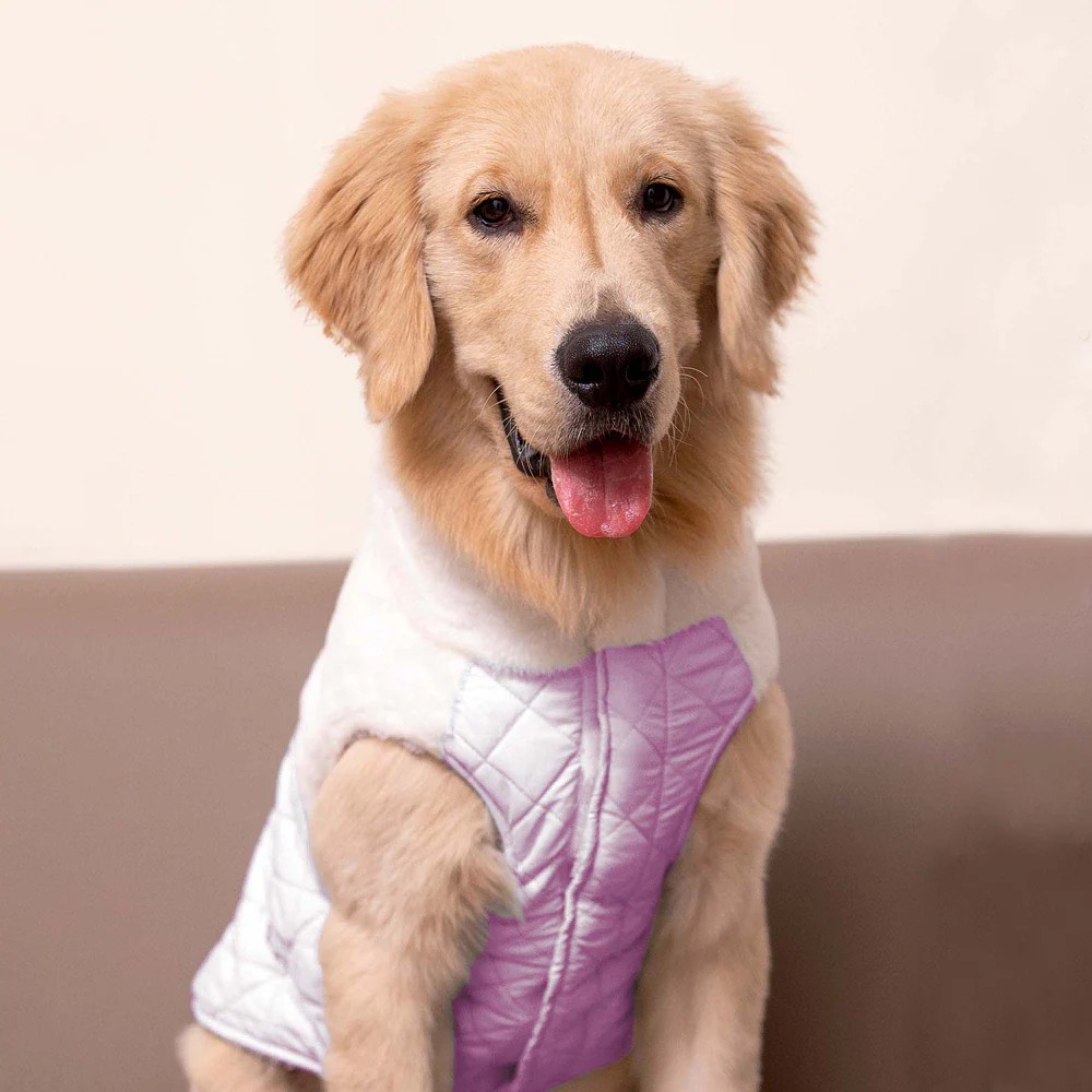 Pets Way Cozyquilt Winter Jacket for Dogs (Mauve) - Image 5