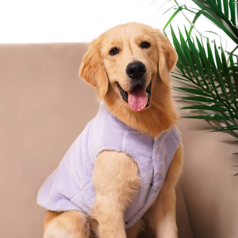 Pets Way Cozyquilt Winter Jacket for Dogs (Sky) - Image 3