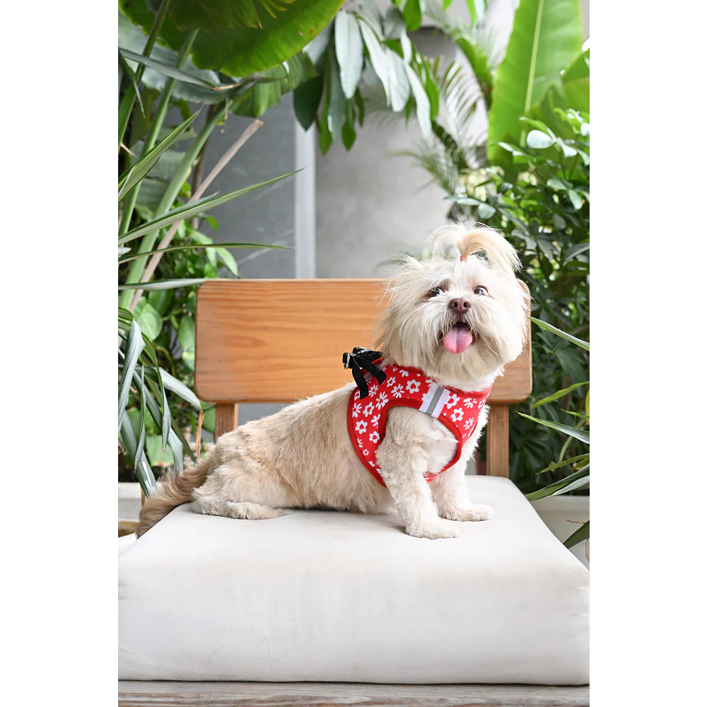 Pets Way Cupid Air Mesh Printed Harness for Puppies and Small Dogs - Image 2