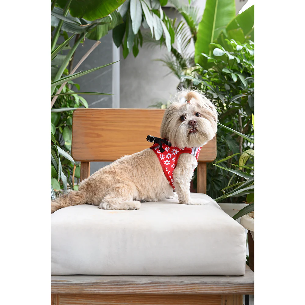Pets Way Cupid Air Mesh Printed Harness for Puppies and Small Dogs - Image 7