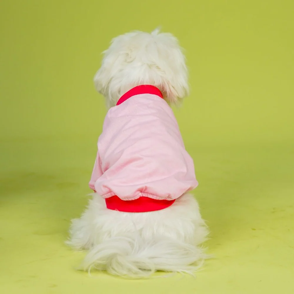 Pets Way Dive In Stripes Tshirt for Dogs (Blush) - Image 4