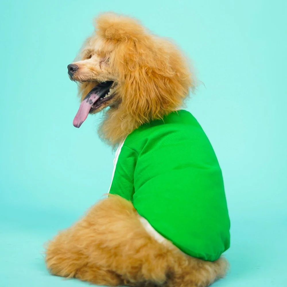 Pets Way Dive In Stripes Tshirt for Dogs (Forest) - Image 4