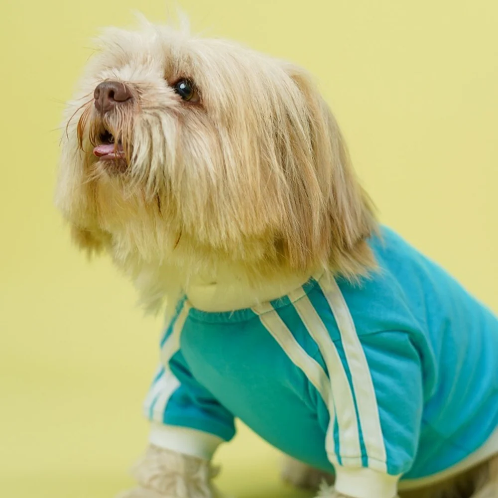 Pets Way Dive In Stripes Tshirt for Dogs (Ocean) - Image 5