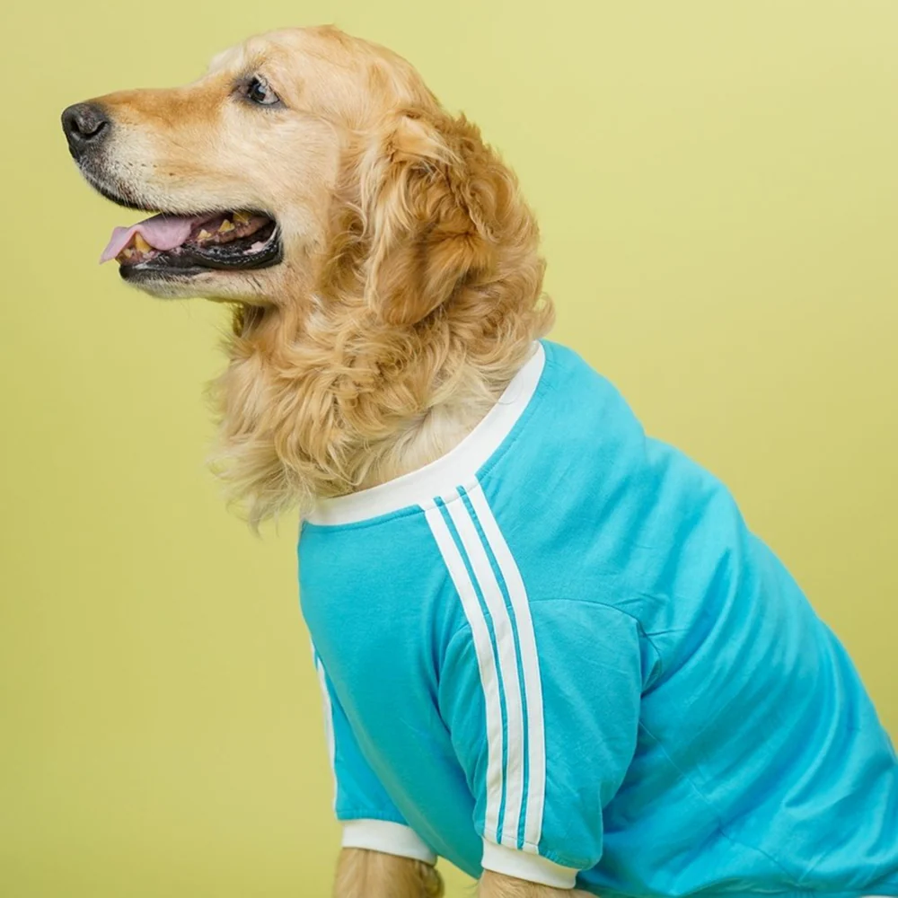 Pets Way Dive In Stripes Tshirt for Dogs (Ocean) - Image 6