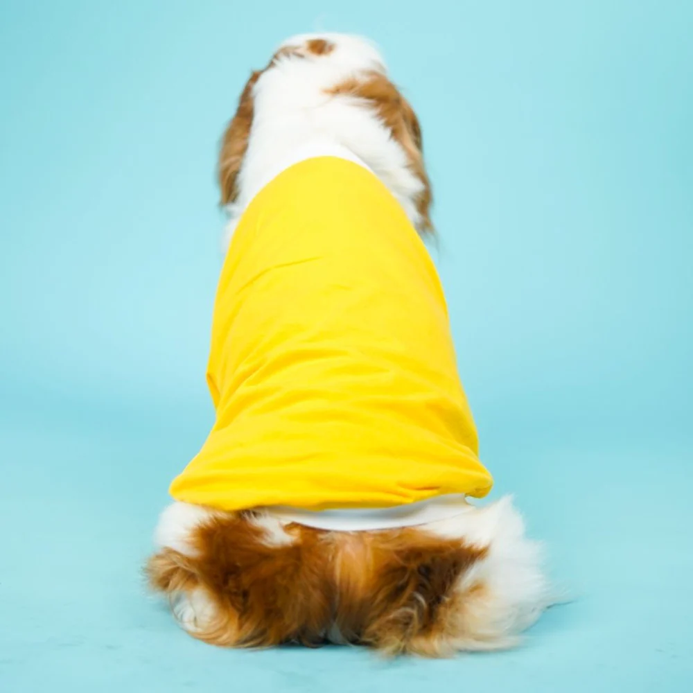 Pets Way Dive In Stripes Tshirt for Dogs (Yellow) - Image 4