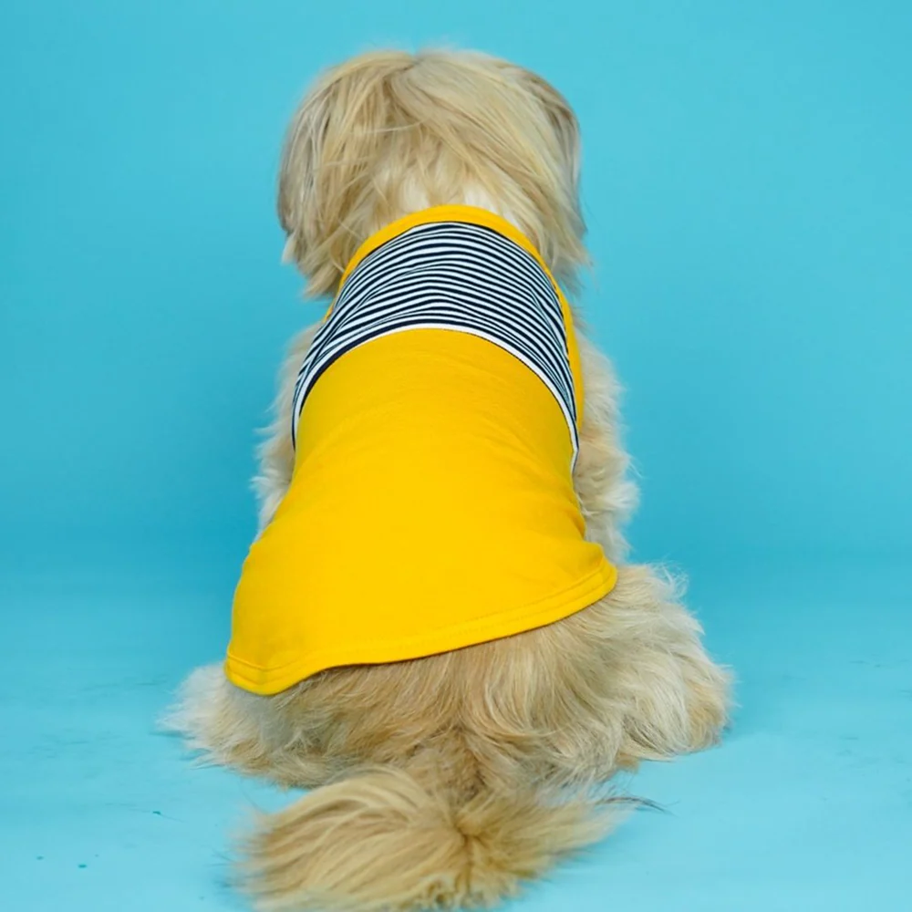 Pets Way Fetch Vest Combo for Dogs (Pack of 3) - Image 4