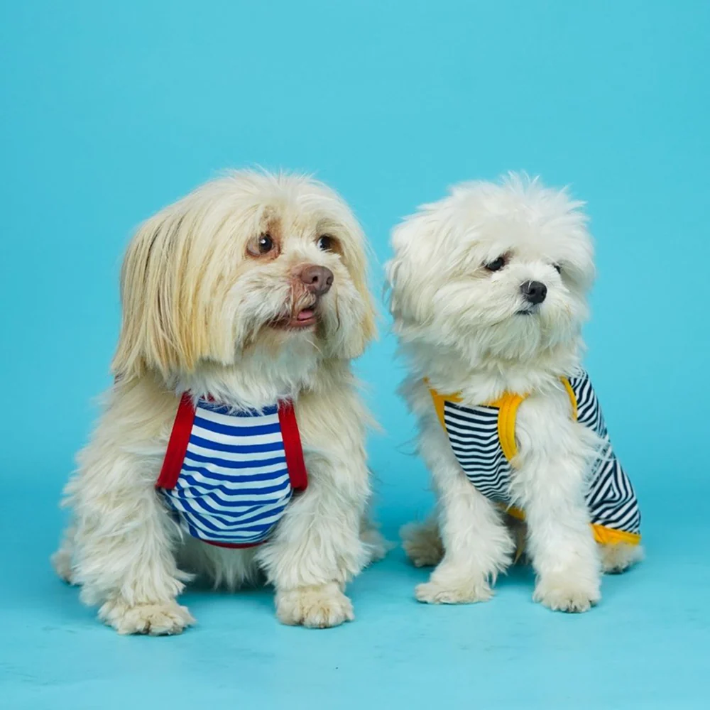 Pets Way Fetch Vest Combo for Dogs (Pack of 3) - Image 5