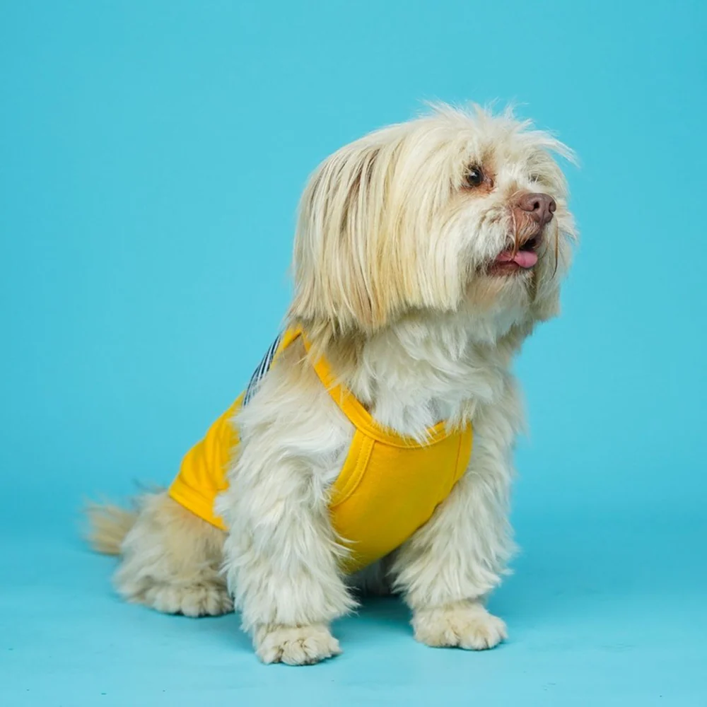 Pets Way Fetch Vest Combo for Dogs (Pack of 3) - Image 8