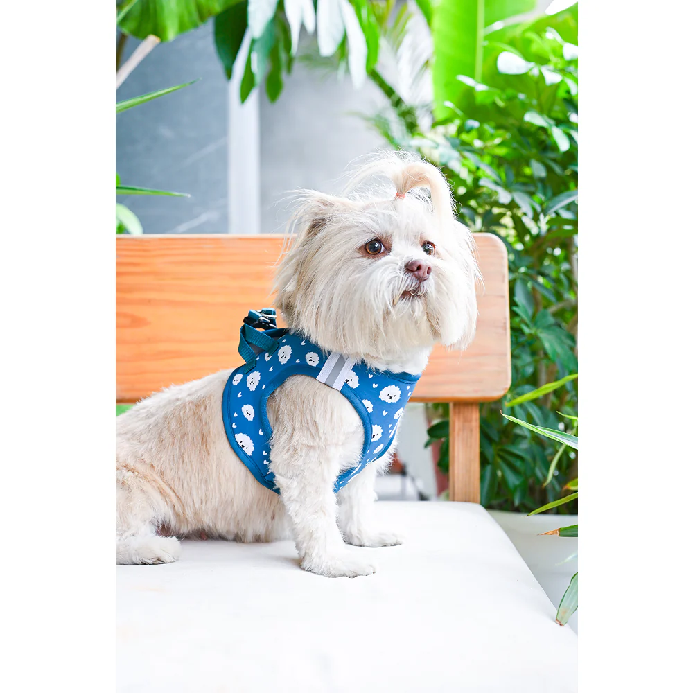 Pets Way Floof Air Mesh Printed Harness for Puppies and Small Dogs - Image 2