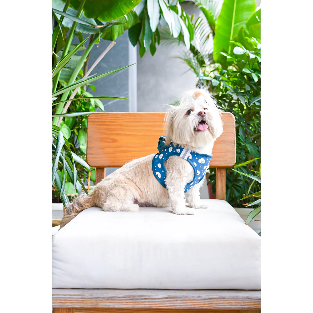 Pets Way Floof Air Mesh Printed Harness for Puppies and Small Dogs - Image 7