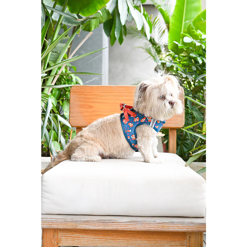 Pets Way Foxie Air Mesh Printed Harness for Puppies and Small Dogs - Image 2