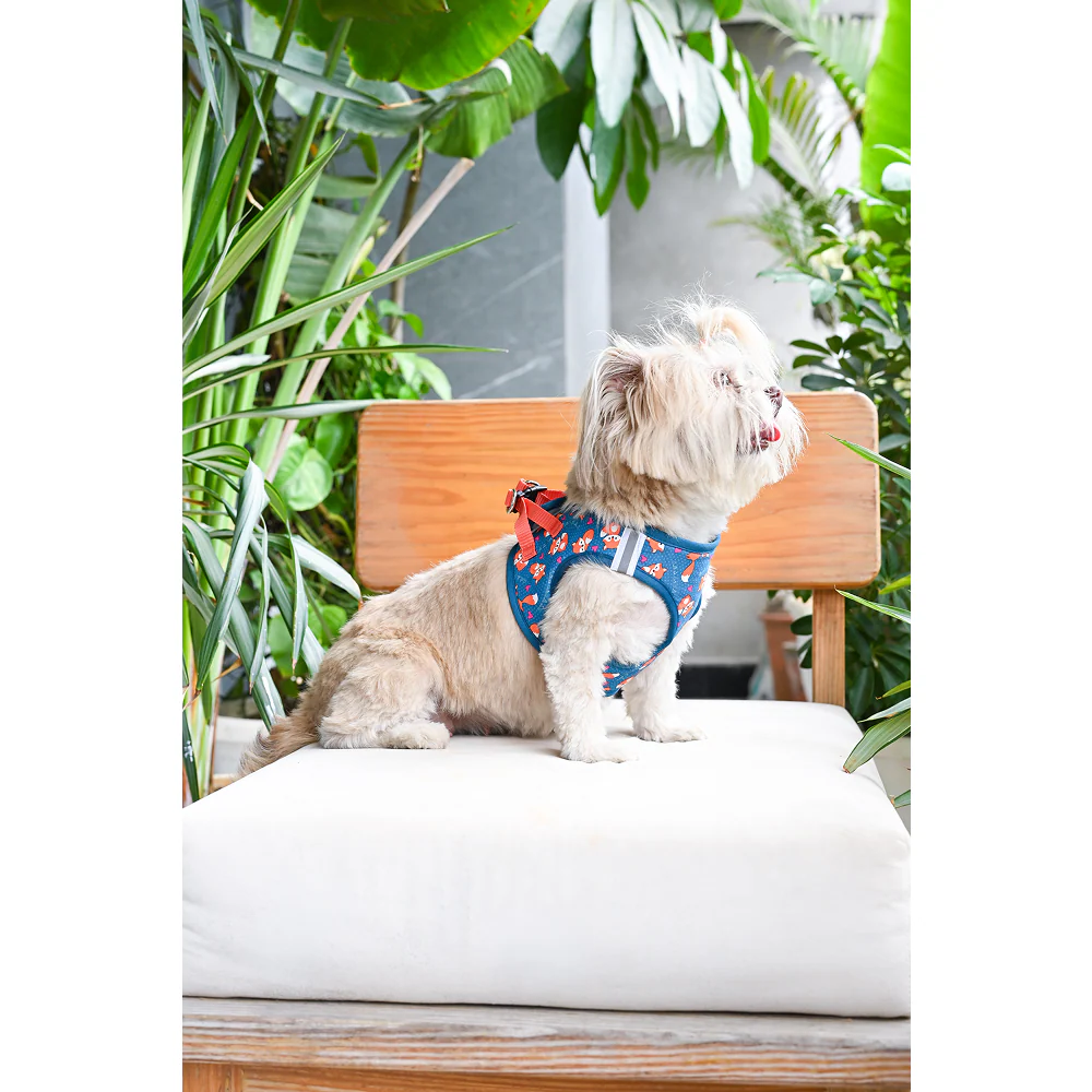 Pets Way Foxie Air Mesh Printed Harness for Puppies and Small Dogs - Image 7