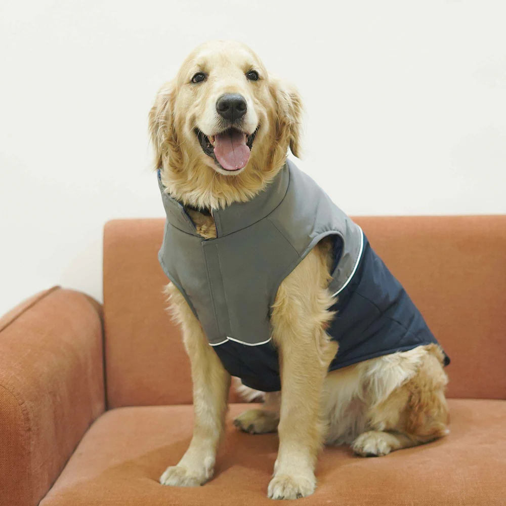 Pets Way Frost Winter Jacket for Dogs (Navy) - Image 3