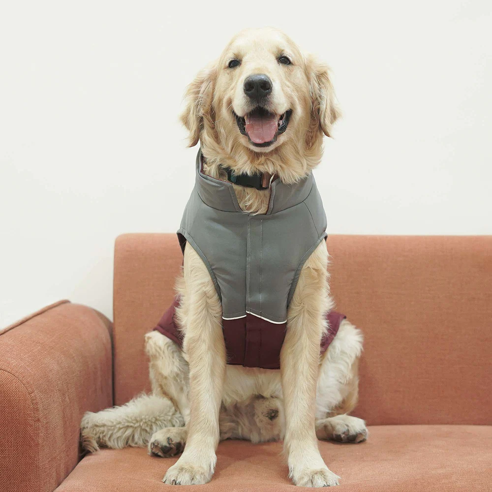 Pets Way Frost Winter Jacket for Dogs (Wine) - Image 4