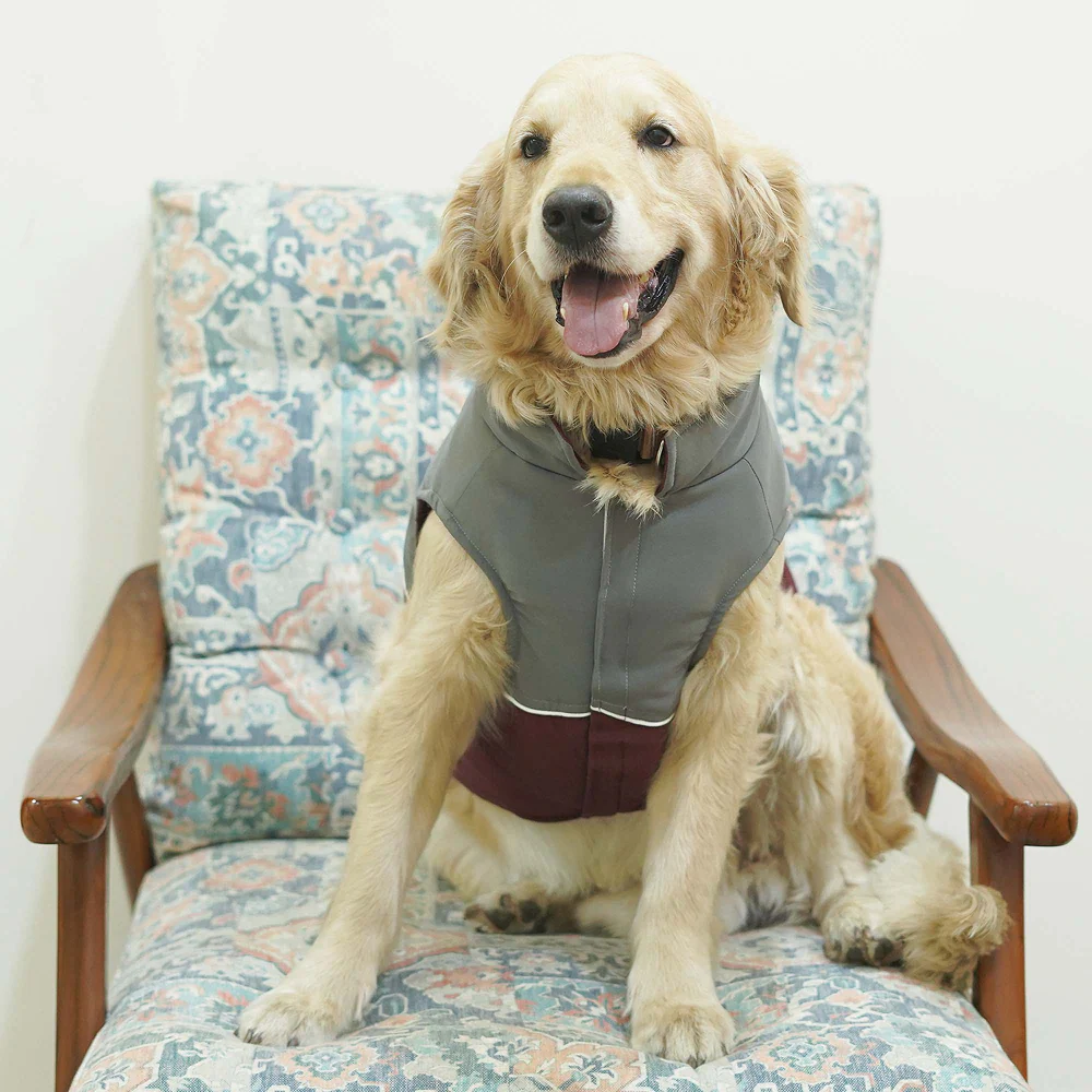 Pets Way Frost Winter Jacket for Dogs (Wine) - Image 8